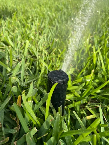 Sprinkler head replacement & tune-up