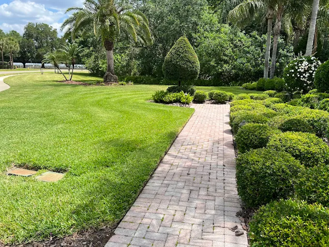 Lush, healthy lawn — full system coverage
